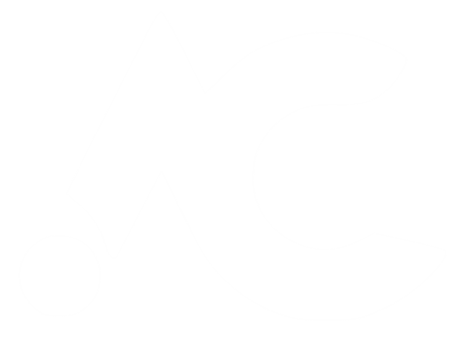 AC BUSINESS DATA SERVICES